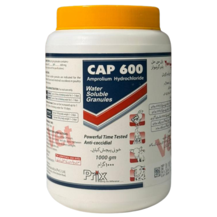 CAP 600