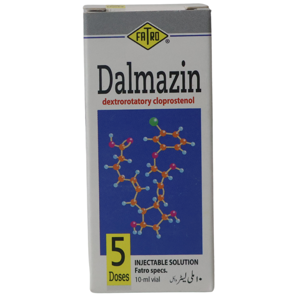 Dalmazin Dalmazin - Image 1