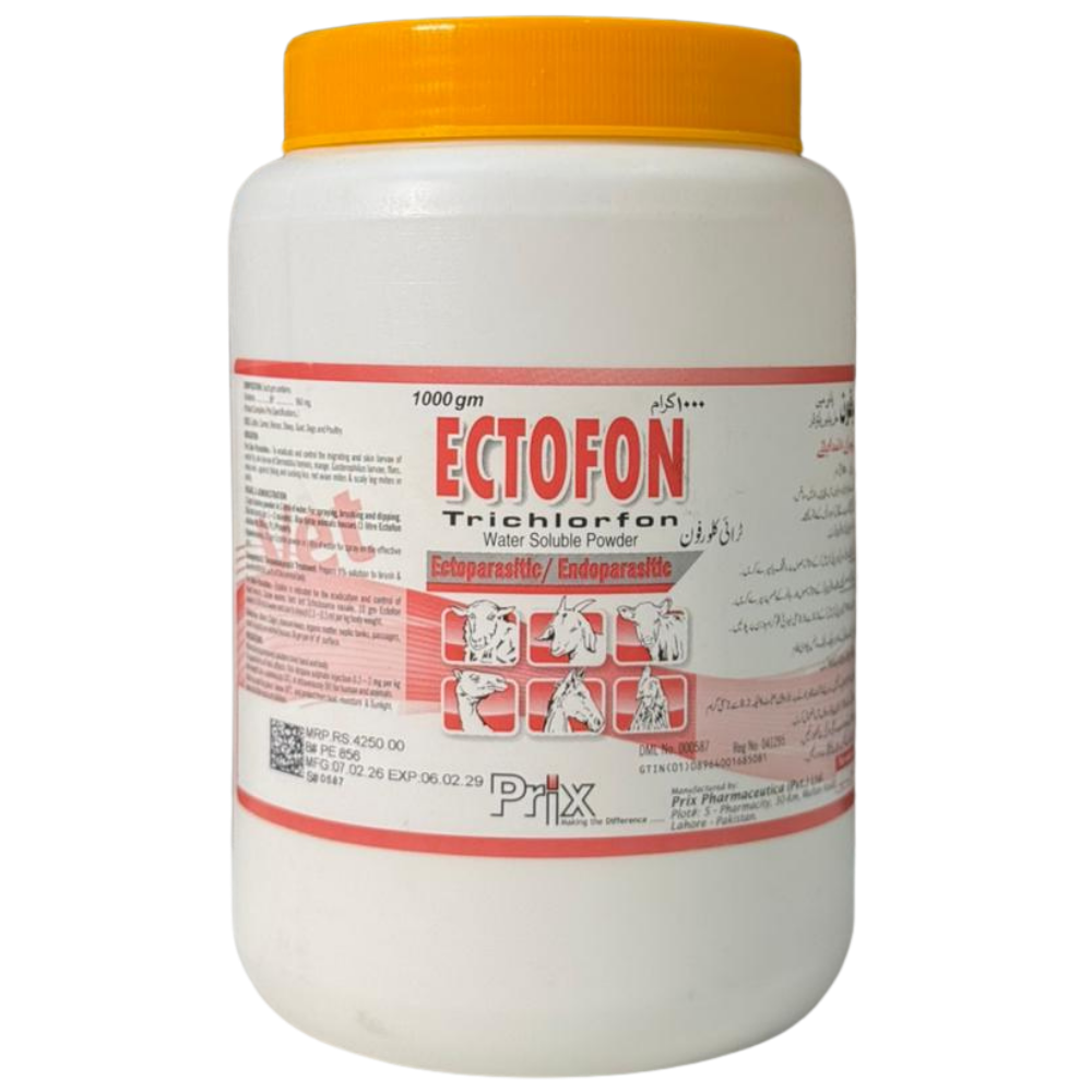 Ectofon ECTOFON - Image 1