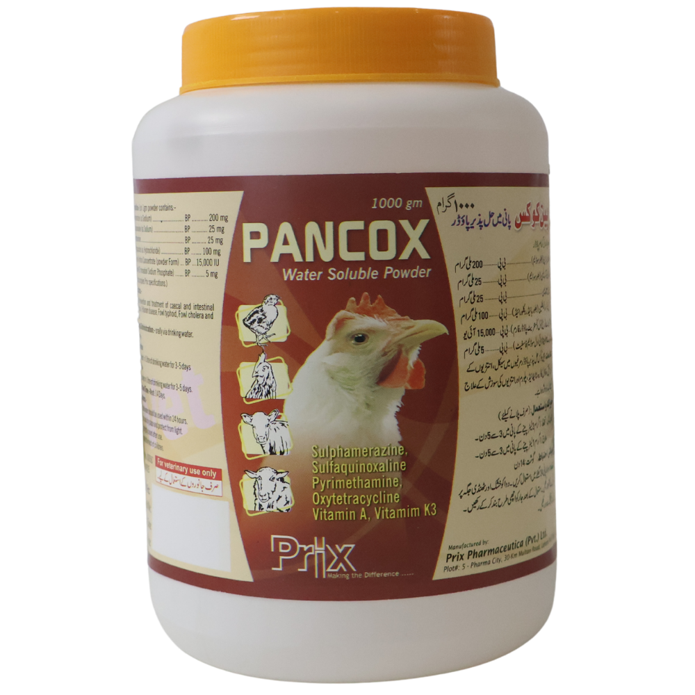 PANCOX PANCOX - Image 1