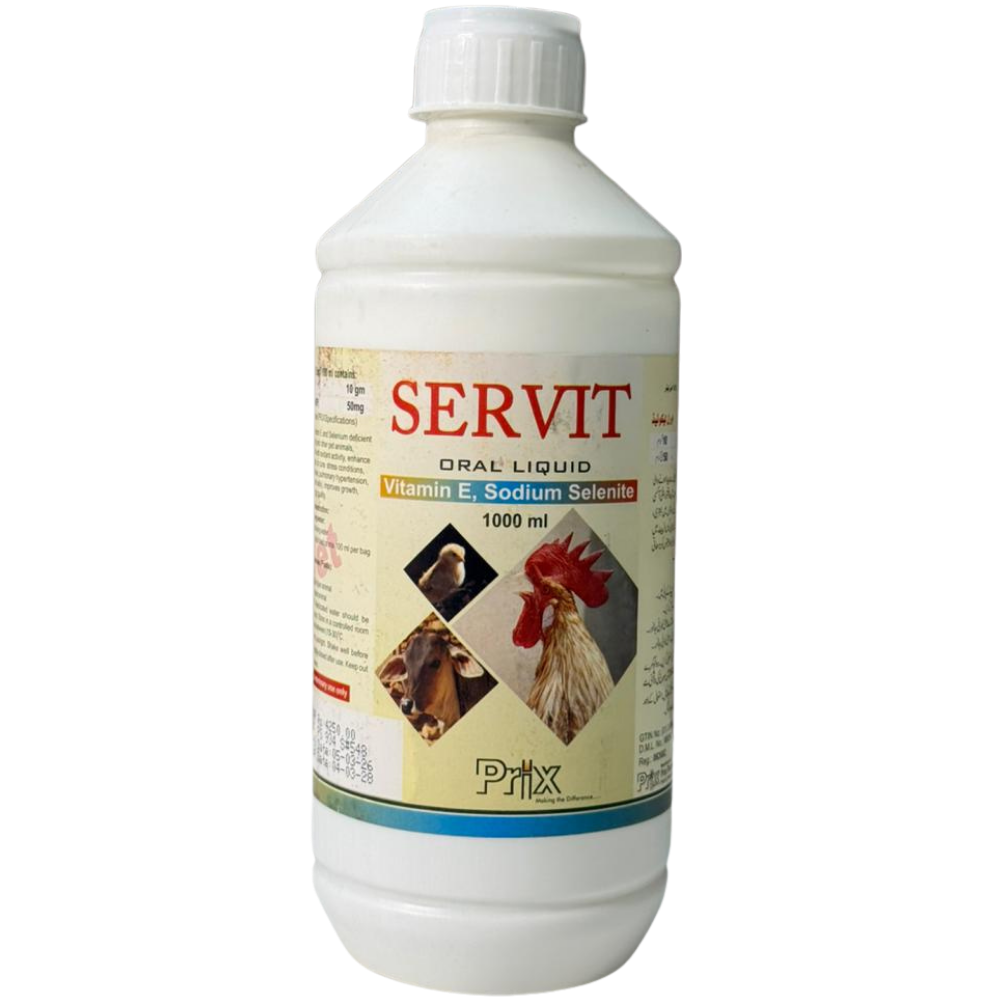 SERVIT SERVIT - Image 1