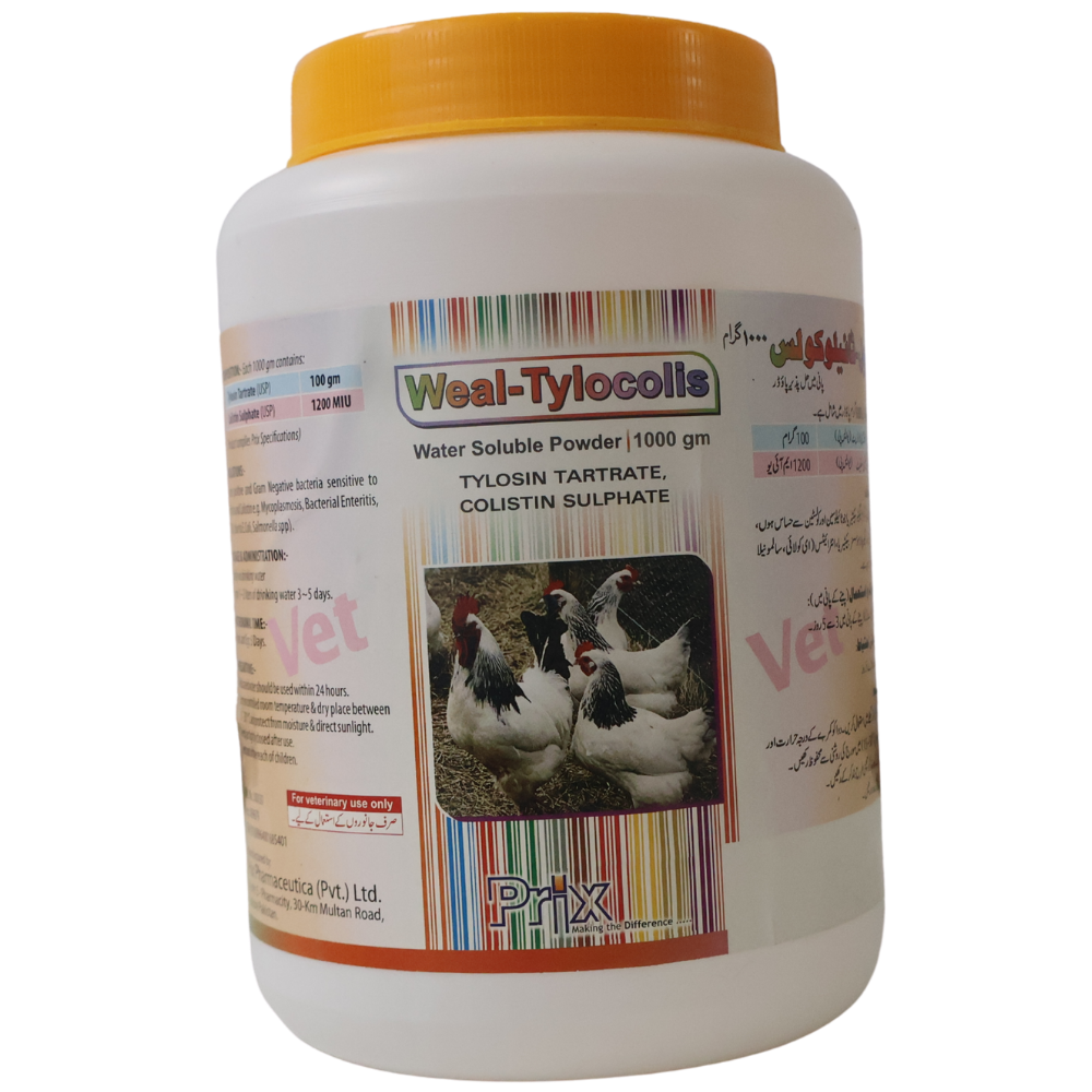 Weal-Tylocolis Weal-Tylocolis - Image 1