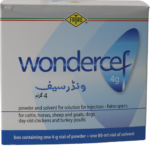 Wondercef